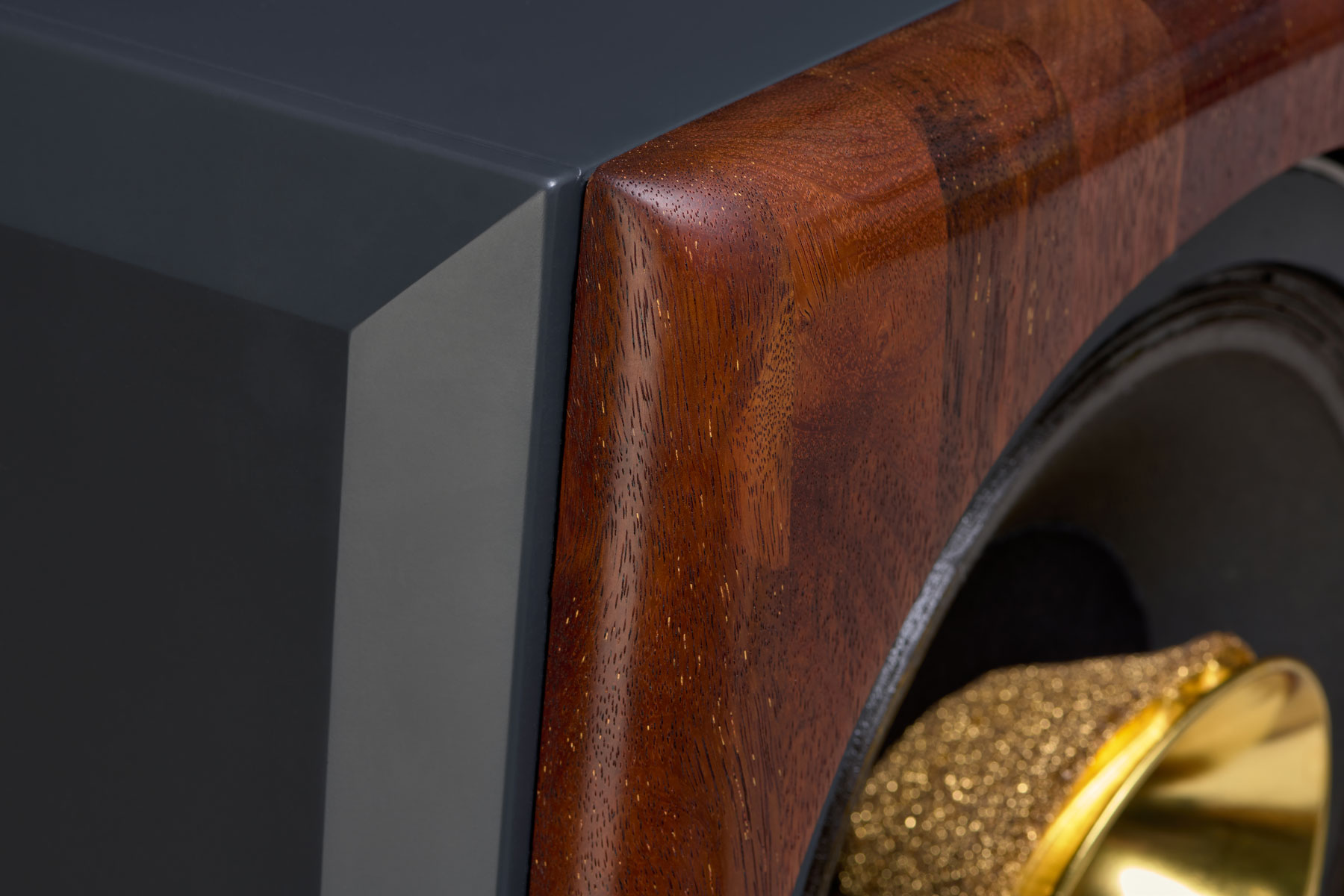 Agila_2396-Korpuso-kraštas_sm