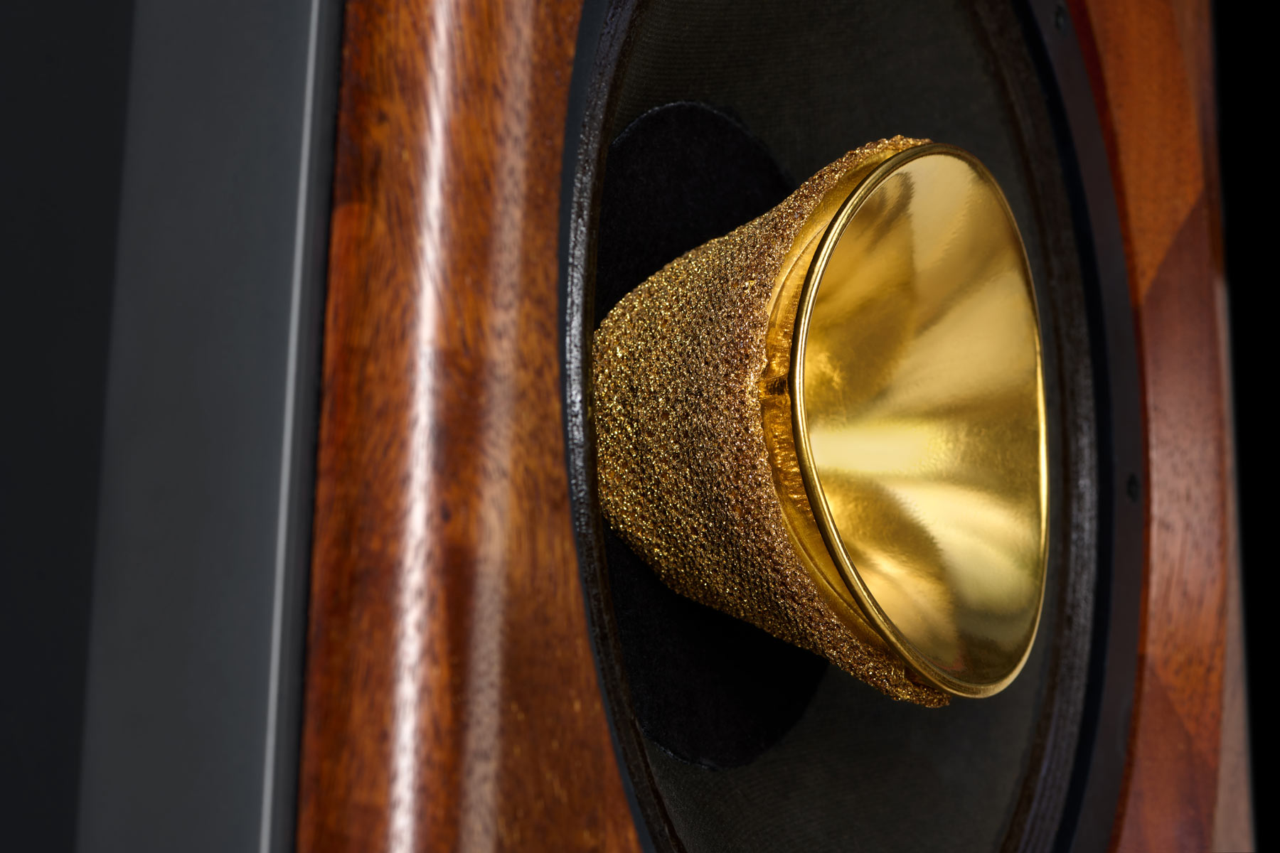 Agila_2426-ruporas_sm